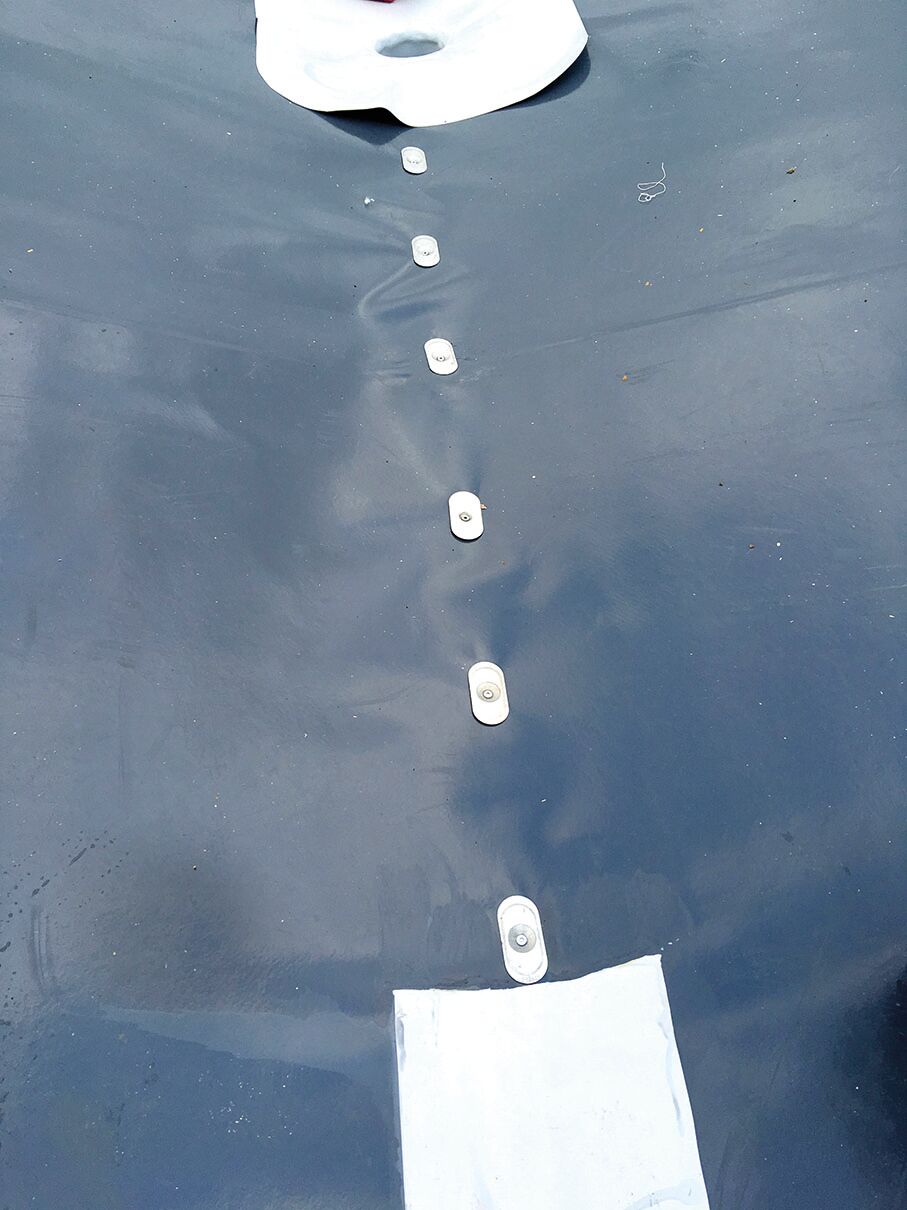 IMG_4178 - Pose EVALON®©La Cerise sur le toit IMG_4178 - Pose EVALON®©La Cerise sur le toit