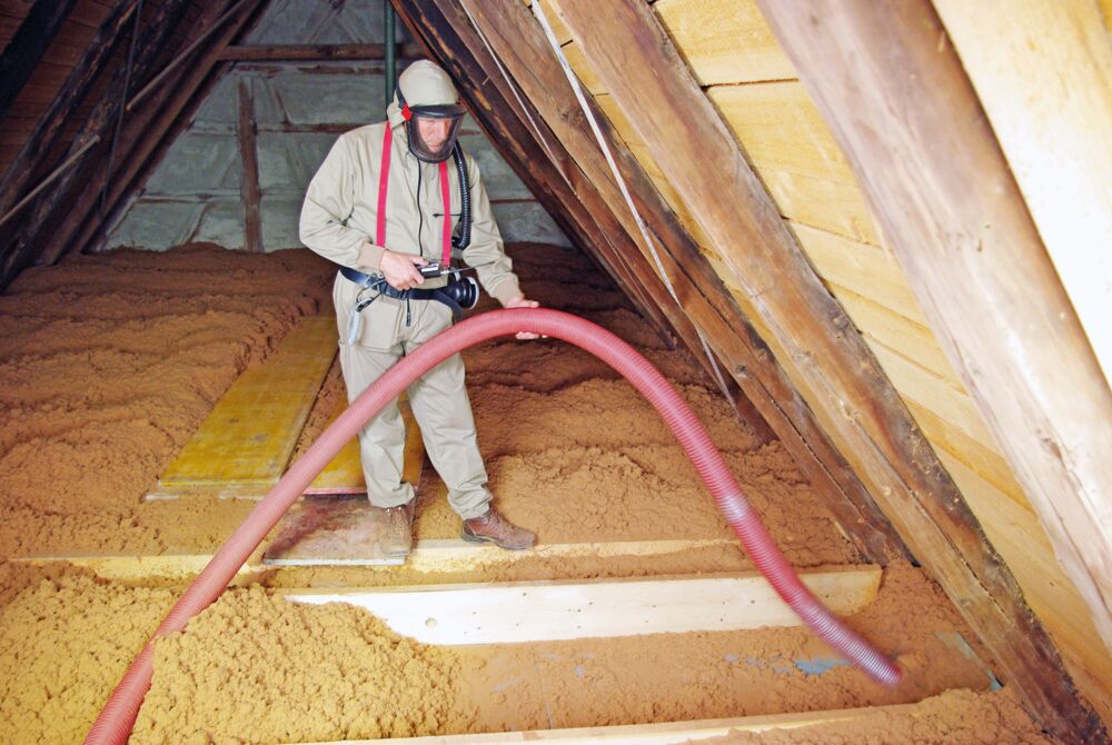 STEICOzell_soufflage_STEICO STEICOzell_soufflage_STEICO