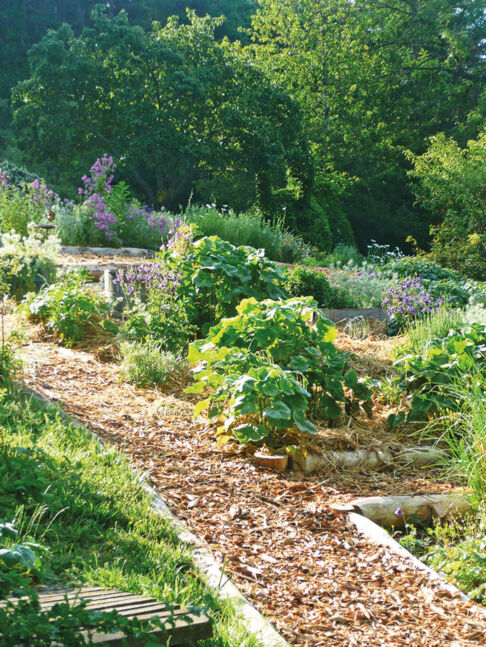 J - CC - Allée un matin de juin J - CC - Allée un matin de juin