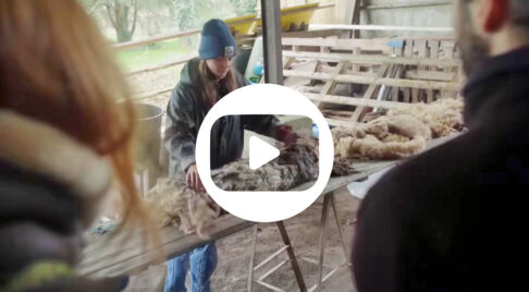 actu-lowtechLAB actu-lowtechLAB