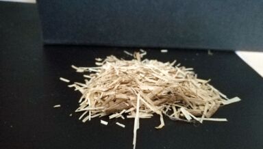 anas lin1@Helene Lenormand anas lin1@Helene Lenormand