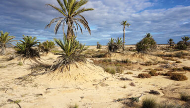 impact-environnemental-du-beton.jpg impact-environnemental-du-beton.jpg