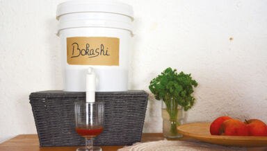 Bokashi DSC_0182 Bokashi DSC_0182