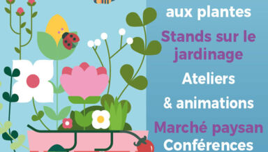 encart-64x100-68075a771c5d3.jpg encart-64x100-68075a771c5d3.jpg