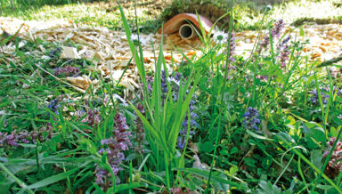 IMG_1071-Pierre et Terre IMG_1071-Pierre et Terre