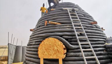 IMG_20221023_120832 IMG_20221023_120832