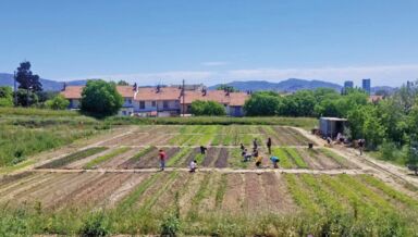 Copie de 197154083_759120281430620_4055395428537973030_n Copie de 197154083_759120281430620_4055395428537973030_n