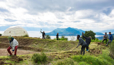 free-real.jpg free-real.jpg