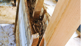 Terre-paille.png Terre-paille.png