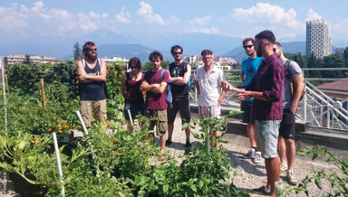 Cultivons-Nos-Toits.jpg Cultivons-Nos-Toits.jpg