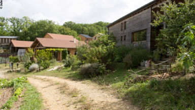 Rencontre-avec-des-andralopithèques.jpg Rencontre-avec-des-andralopithèques.jpg