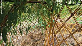 50-CABANES.jpg 50-CABANES.jpg