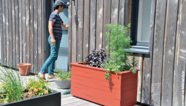 CAHIER-PRATIQUE-PLANTATION.png CAHIER-PRATIQUE-PLANTATION.png