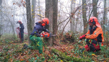 bois 1 - formation Sylviculture douce du RAF Drome c-Alice Rouault-Reillon