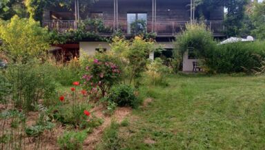 LES GOURMANDISES BIO_