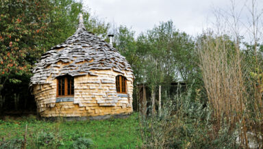 la-figue.jpg la-figue.jpg