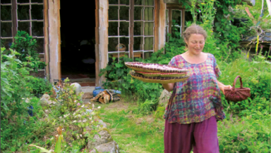 Maison-bois-cordé.png Maison-bois-cordé.png