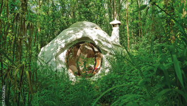 alternatives-portfolio.jpg alternatives-portfolio.jpg