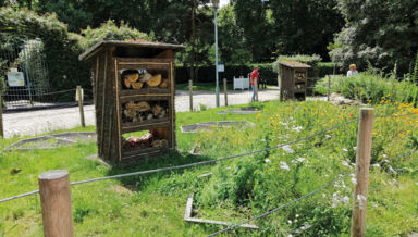 l-abeille-en-ville.jpg l-abeille-en-ville.jpg