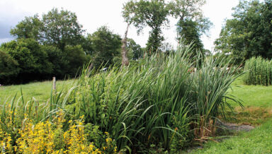 autoconstruire-sa-phytoépuration.jpg autoconstruire-sa-phytoépuration.jpg