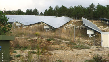 Luc-sur-aude.jpg