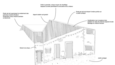 alice-main-visuel-synthese-parti-pris.png alice-main-visuel-synthese-parti-pris.png