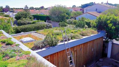 DOSSIER_toiture_semi-extensive-Atelier-du-vegetal DOSSIER_toiture_semi-extensive-Atelier-du-vegetal