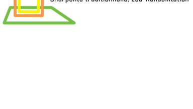 Logo7x7-6a772535e6101.png