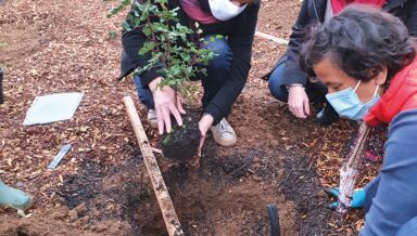 10 Stéphane Jouault lors de la plantation des vergers 10 Stéphane Jouault lors de la plantation des vergers