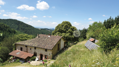 autonomes-depuis-des-lustres.png autonomes-depuis-des-lustres.png