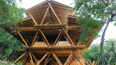 construction-en-bambou.jpg construction-en-bambou.jpg