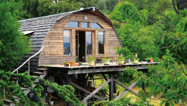 ecoquille.jpg ecoquille.jpg