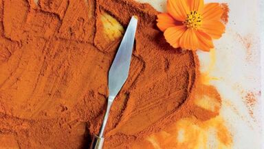 Alternatives-Transformez-vos-plantes-en-pigments.jpg Alternatives-Transformez-vos-plantes-en-pigments.jpg