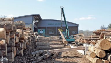 6-ENQUETE-FILIERE-Hausse-du-prix-du-bois.jpg 6-ENQUETE-FILIERE-Hausse-du-prix-du-bois.jpg