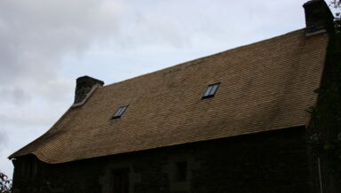 IMG_7305.jpg IMG_7305.jpg