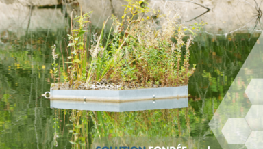 file-675aa5aca8bf3.png file-675aa5aca8bf3.png