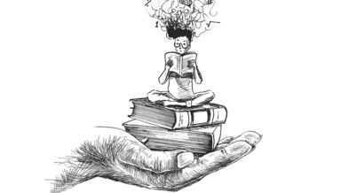 boy-8181374-1280-6787c7304a62d.jpg boy-8181374-1280-6787c7304a62d.jpg