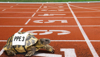 billet_taniadimas-match-2405991 montage