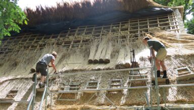 La couverture se pose de bas en haut. Les bottes sont posées sur la largeur, tous les 30 cm, ce qui fait quatre à cinq bottes par m2. Elles sont pressées avec des barres en ferraille et du fil de fer galvanisé entre les liteaux de couverture fixés sur la charpente.  Couverture roseau maison écologique