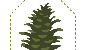 LOGO-COMPLET-DEF-688e04641d8ca.jpg LOGO-COMPLET-DEF-688e04641d8ca.jpg