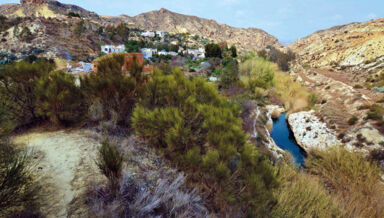 green-desert-technology.jpg green-desert-technology.jpg