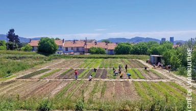 12-TERRITOIRE-VILLE-DE-DEMAIN.png 12-TERRITOIRE-VILLE-DE-DEMAIN.png