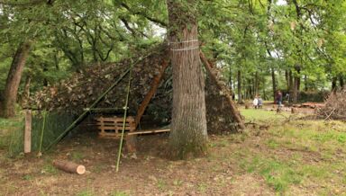 chantier en famille Cabane perche et feuillage - crédit vitacolo chantier en famille Cabane perche et feuillage - crédit vitacolo