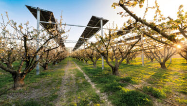 avis_d-experts_Installation Loriol sur Drôme, exploitation Clair Fruits-Sun_Agri