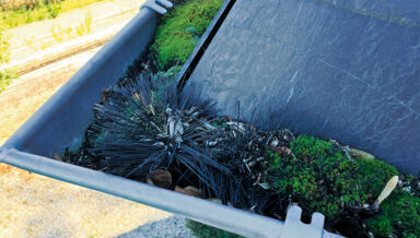 DIAGNOSTIC-HS21_IMG_3801_Defaut_entretien_cheneau