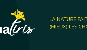 Capture-d-ecran-2026-07-22-a-14-47-38-6a60bc0bb2d52.png