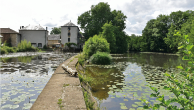 Moulin-à-eau.png Moulin-à-eau.png