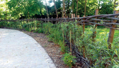 enquete-exterieure-haie.jpg enquete-exterieure-haie.jpg