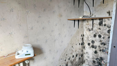 DOSSIER-qualite_air_153_moisissures papiers peints Medieco DOSSIER-qualite_air_153_moisissures papiers peints Medieco