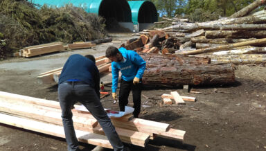 association-koad-an-arvorig.jpg association-koad-an-arvorig.jpg